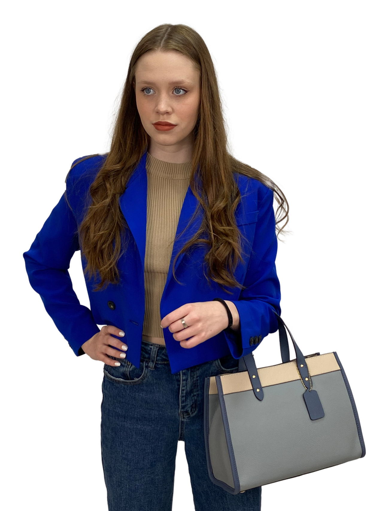 На фото 2 - Женская сумка  из натуральной кожи, цвет  голубой с молочным и синим